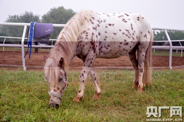 圖片關(guān)鍵詞 圖片關(guān)鍵詞