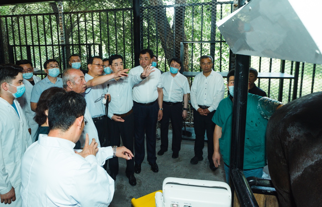 圖片關(guān)鍵詞 圖片關(guān)鍵詞