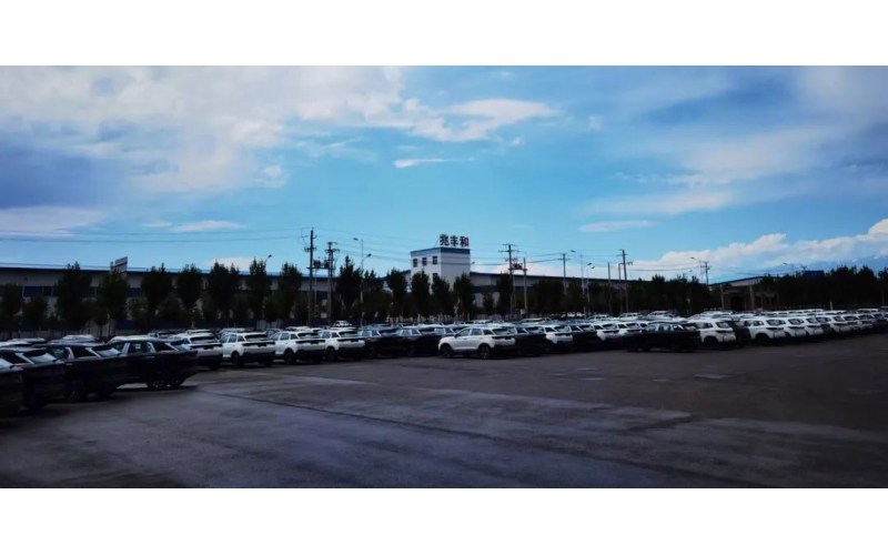 野馬外貿(mào)助力中國(guó)汽車(chē)向西，向西……