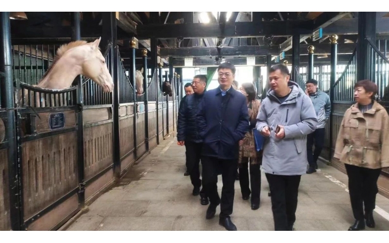 高雷副廳長在野馬集團調研時表示，要通過科技助力，精準解決“卡脖子”問題