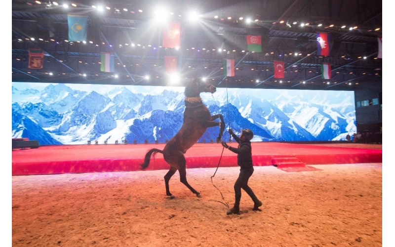 住馬酒店、吃馬肉腸、喝馬奶粉、品馬奶酒--
