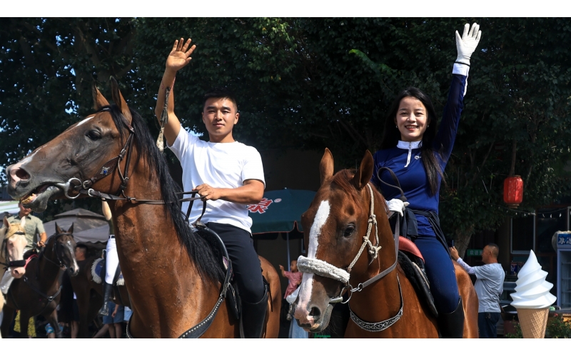 伊犁霍城縣晃晃村