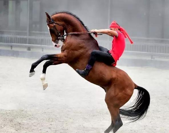 圖片關(guān)鍵詞 圖片關(guān)鍵詞