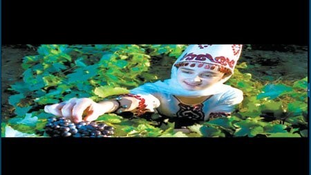 圖片關(guān)鍵詞 圖片關(guān)鍵詞